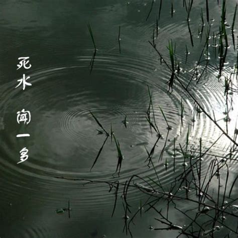 死水|名诗《死水》翻译